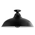 20" Chicago, 100-Black, TGG-Heavy Duty Cast Guard, RIB-Ribbed Glass
