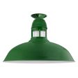 20" Outback LED, 307-Emerald Green, With Cap Option, FST-Frosted Glass