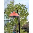 17" Bomber LED, 495-Sherbert Orange, 8ft Pole, 600-Bronze, Single Decorative, Clear Glass | Customer Submission