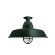 14" Rochester LED, 300-Dark Green, CGG-Standard Cast Guard, FST-Frosted Glass