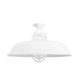 16" Rochester, 200-White, CGG-Standard Cast Guard, FST-Frosted Glass
