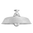 18" Rochester, 975-Galvanized, TGG-Heavy Duty Cast Guard, FST-Frosted Glass