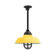 12" Rochester LED, 500-Buttery Yellow, TGG-Heavy Duty Cast Guard, 100-Black, RIB-Ribbed Glass, Heavy Duty Cast Guard, Mounting in 100-Black