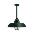14" Rochester LED, 300-Dark Green, CGG-Standard Cast Guard, FST-Frosted Glass