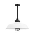 16" Rochester LED, 200-White, CGG-Standard Cast Guard, 100-Black, RIB-Ribbed Glass, Mounting in 100-Black