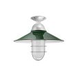 16" Syracuse LED, 300-Dark Green, Mounting in 975-Galvanized, WGG-Wire Guard, FST-Frosted Glass
