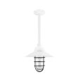 12" Syracuse LED, 200-White, WGG-Wire Guard, 100-Black, RIB-Ribbed Glass