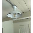 14" Dino, 250-Porcelain White, CGG-Standard Cast Guard, CLR-Clear Glass | Photo Courtesy of Customer