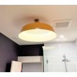 24" The Original™ Flush Mount, 570-Sunflower, 980-Brushed Aluminum | Customer Submission