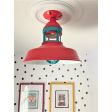 12" Sydney LED Flush Mount, 470-Watermelon, No Cap, 390-Teal, Guard, Clear Glass | Photo Courtesy of The Shabby Peacock