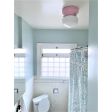 Kao Primary Schoolhouse Flush Mount, Small Opaque, 480-Blush Pink | Customer Submission