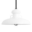 30" Laramie Nautical LED, 200-White, CGG-Standard Cast Guard, 100-Black, RIB-Ribbed Glass, Mounting in 100-Black