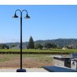 14" The Original™ LED, 100-Black, Double Post Mount, 100-Black, Flat Lens, 12ft Fluted Direct Burial Pole | Photo Courtesy of Customer