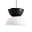14" Duo LED, Top in 100-Black, Bottom in 200-White, Maple Wood Ring, Mounting in 100-Black