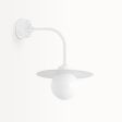 16" Cassidy LED Globe Gooseneck Light, 206-Matte White, G12 Gooseneck Arm