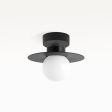 12" Cassidy LED Globe Flush Mount Light