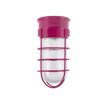 Flush Mount LED Guard Sconce, 490-Magenta, WGG-Wire Guard, RIB-Ribbed Glass