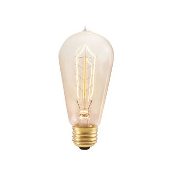 1890 Era 40W Light Bulb