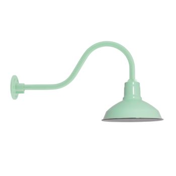 12" Dino, 355-Porcelain Jadite, G22 Gooseneck Arm