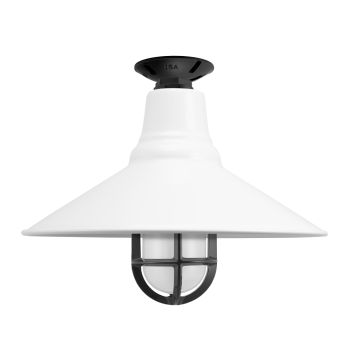 16" Aero Nautical LED, 200-White, TGG-Heavy Duty Cast Guard, 100-Black, FST-Frosted Glass, Mounting in 100-Black