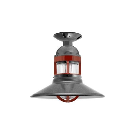 12" Wallaby LED, 805-Charcoal Granite, Guard in 400-Barn Red, RIB-Ribbed Glass