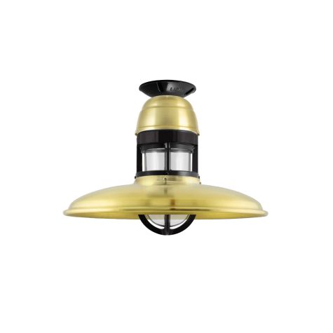 12" Brisbane LED, 997-Natural Raw Brass, With Cap Option, Guard in 100-Black, CLR-Clear Glass, Mounting in 100-Black