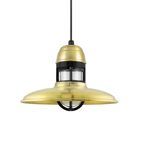 12" Brisbane LED, 997-Natural Raw Brass, With Cap Option, Guard in 100-Black, CLR-Clear Glass, Standard Black Cord