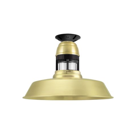 14" Sydney, 997-Natural Raw Brass, With Cap Option, Guard in 100-Black, CLR-Clear Glass, Mounting in 100-Black