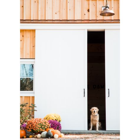 18” Sydney Gooseneck Light, 995-Raw Copper Finish, G22 Gooseneck Arm in 975-Galvanized, With Cap, 100-Black Guard Finish, CLR-Clear Glass, Decorative Backing Plate Cover | Photo Courtesy of Houses and Barns by John Libby and Izzy Bouchard Photography