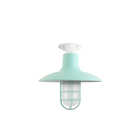 12" Dominion, 370-Mint, CGG-Standard Cast Guard, FST-Frosted Glass, Mounting in 200-White