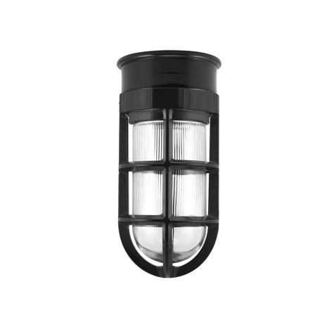 Flush Mount Guard Sconce, 100-Black, TGG-Heavy Duty Cast Guard, RIB-Ribbed Glass