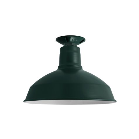 14" Dino, 300-Dark Green