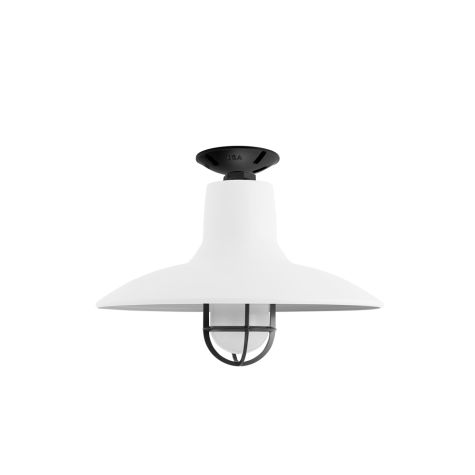 16" Dominion, 200-White, CGG-Standard Cast Guard, 100-Black, FST-Frosted Glass, Mounting in 100-Black