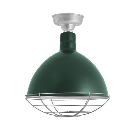 16" Wilcox LED, 300-Dark Green, Wire Cage, 975-Galvanized, Mounting in 975-Galvanized