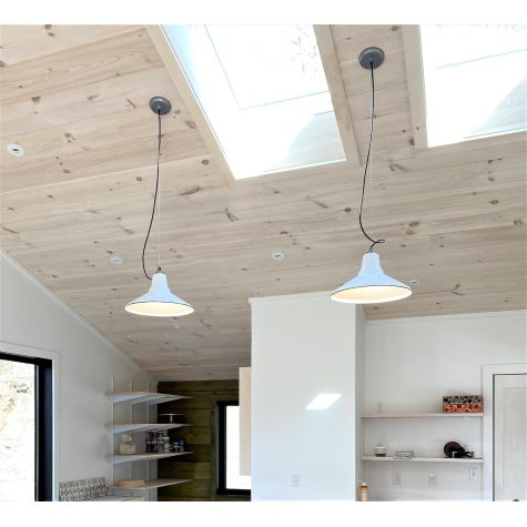 16” Aero Studio Light, 250-White, SBK-Standard Black Cord, 48in Cable | Photo Courtesy of Homeowner