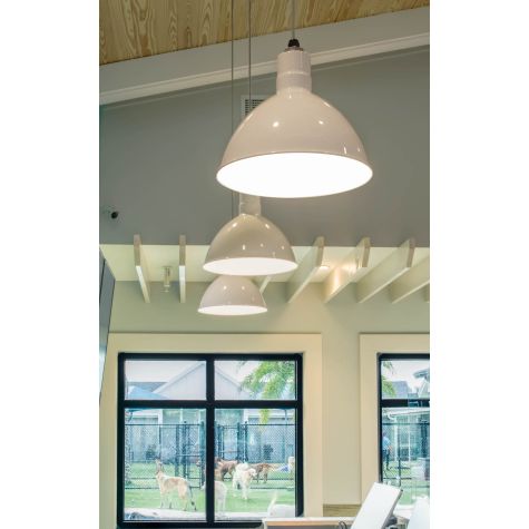 16" Wilcox LED, 200-White, SWH-Standard White Cord