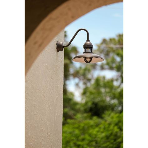 12" Brisbane LED, 600-Bronze, CLR-Clear Glass, G26 Gooseneck Arm, Decorative Backing Plate Cover
