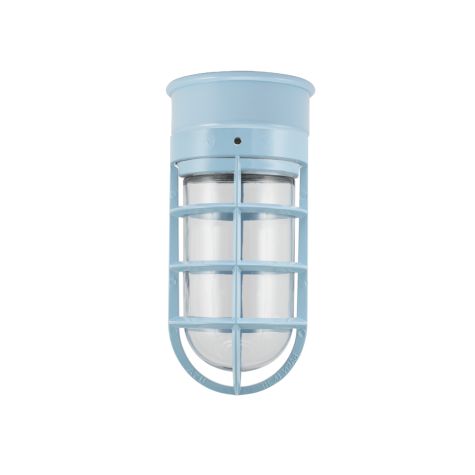 Flush Mount Guard Sconce, 715-Delphite Blue, CGG-Standard Cast Guard, CLR-Clear Glass