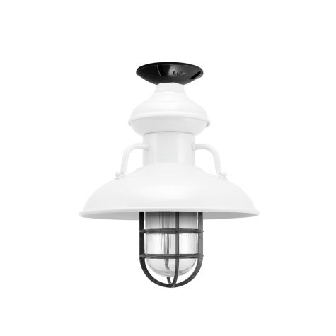 12" Laramie Nautical LED, 200-White, CGG-Standard Cast Guard, 100-Black, RIB-Ribbed Glass, Mounting in 100-Black