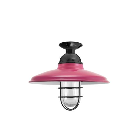 12" Bridgeport, 490-Magenta, WGG-Wire Guard, 100-Black, RIB-Ribbed Glass, Mounting in 100-Black