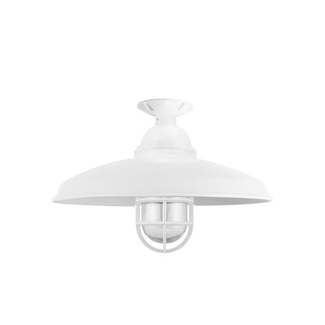 14" Bridgeport, 200-White, CGG-Standard Cast Guard, RIB-Ribbed Glass