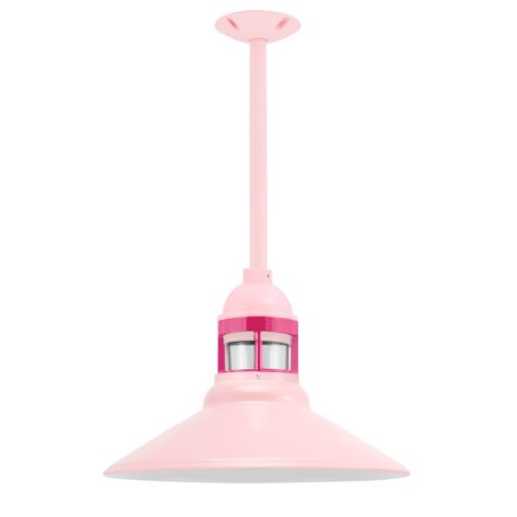 16" Wallaby, 480-Blush Pink, Guard in 490-Magenta, CLR-Clear Glass, Mounting in 480-Blush Pink