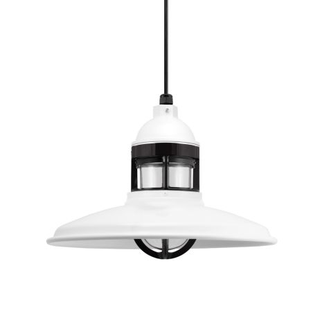 12" Brisbane LED, 200-White, Guard in 100-Black, CLR-Clear Glass, Standard Black Cord