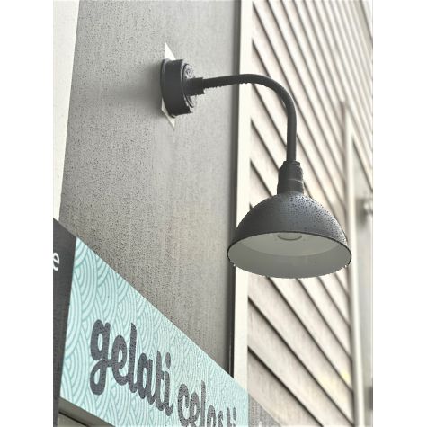 12" Wilcox LED, 106-Matte Black, G13 Gooseneck Arm, Flat Lens | Photo Courtesy of Customer