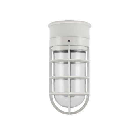 Flush Mount Guard Sconce, 815-Light Grey, CLR-Clear Glass